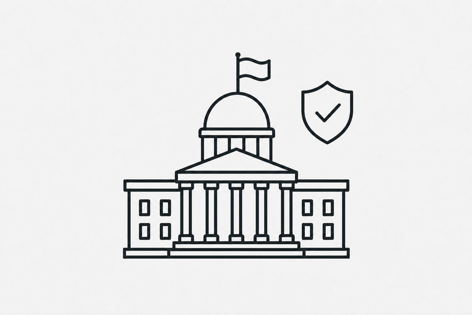 Government — consultation audience